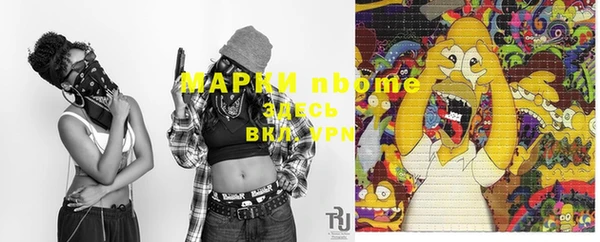 прущие грибы Нестеровская