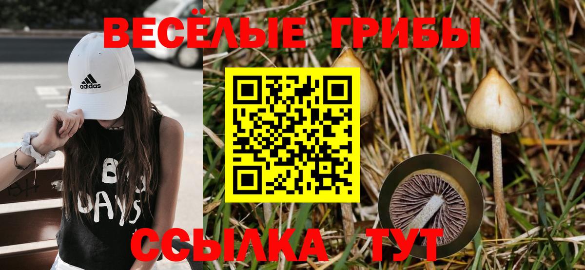 Псилоцибиновые грибы мицелий Верхняя Салда
