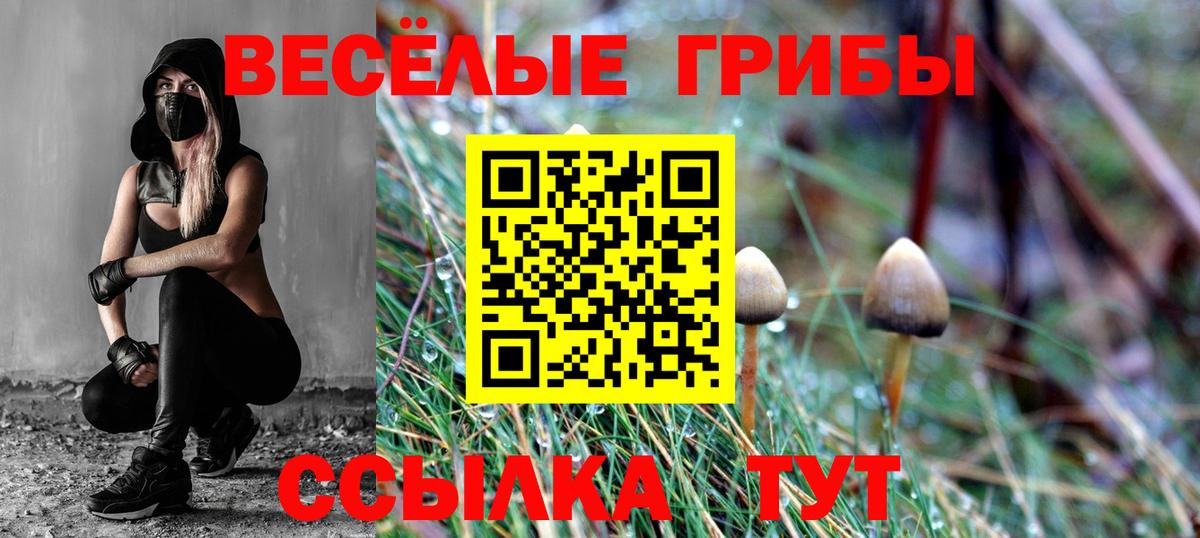 Псилоцибиновые грибы MAGIC MUSHROOMS  Вход с VPN  Верхняя Салда 