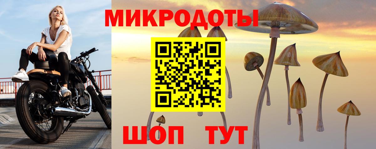 Галлюциногенные грибы Psilocybine cubensis  Верхняя Салда 